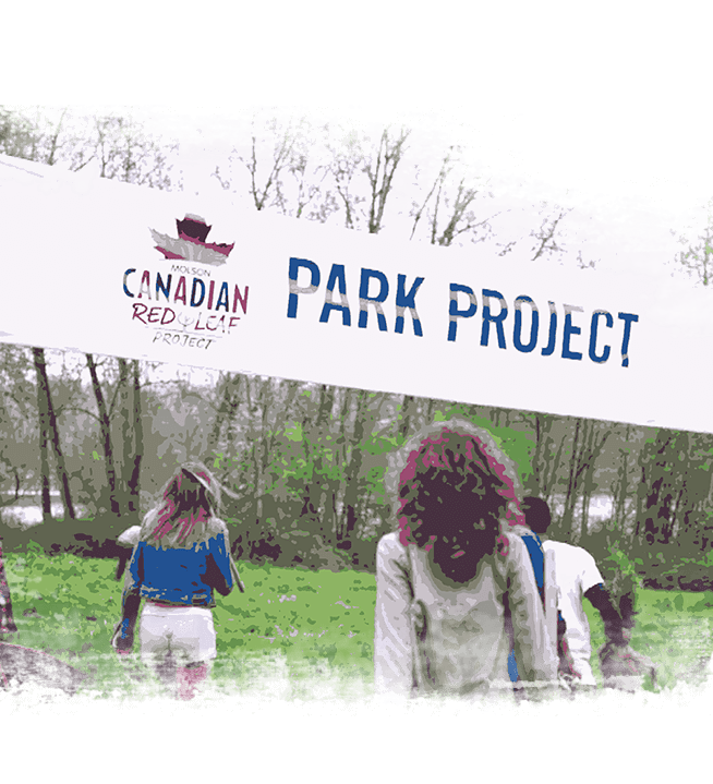 park project